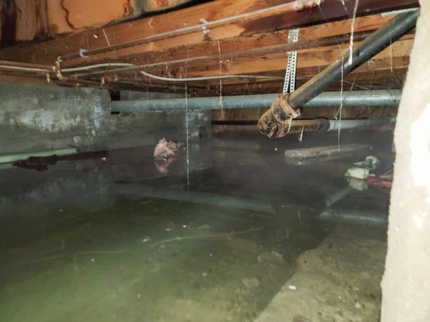 Best Residential water damage restoration  in Ixonia, WI