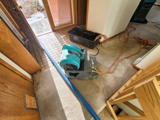 Best Water damage restoration near me  in Ixonia, WI