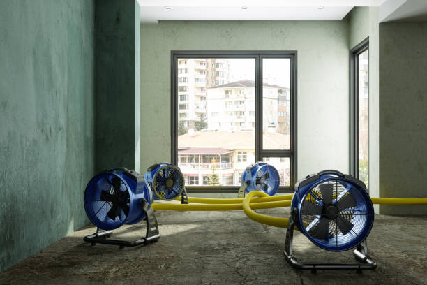 Best Water damage cleanup near me  in Ixonia, WI
