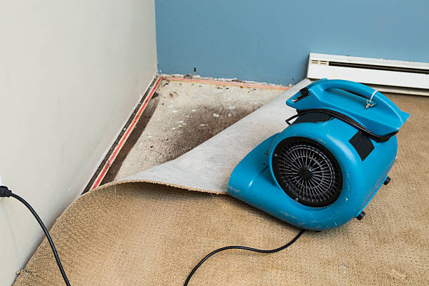 Best Fire Damage Restoration  in Ixonia, WI